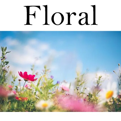 Suprise theme Floral - 2.0 - Pocket diaper - Ready to ship